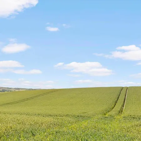 4035-borre-bogebjergvej-15 * Borre